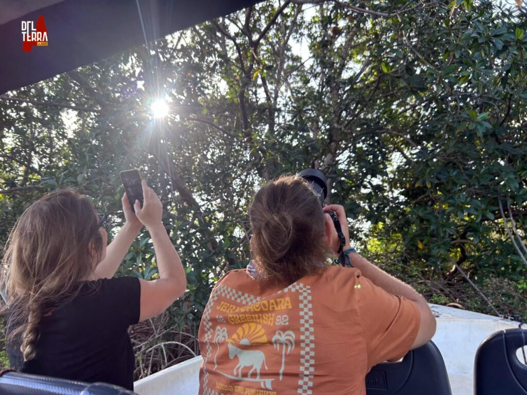 Gringos fotografam fauna do Delta do Parnaíba