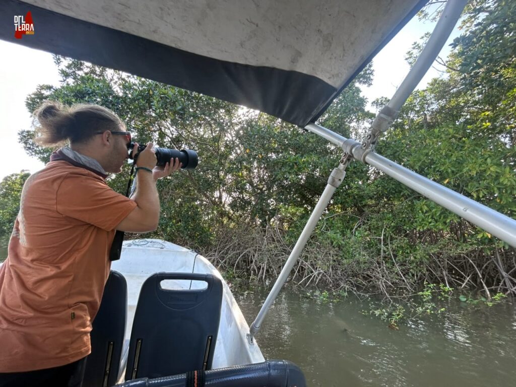 Observação de pássaros no Delta do Parnaíba