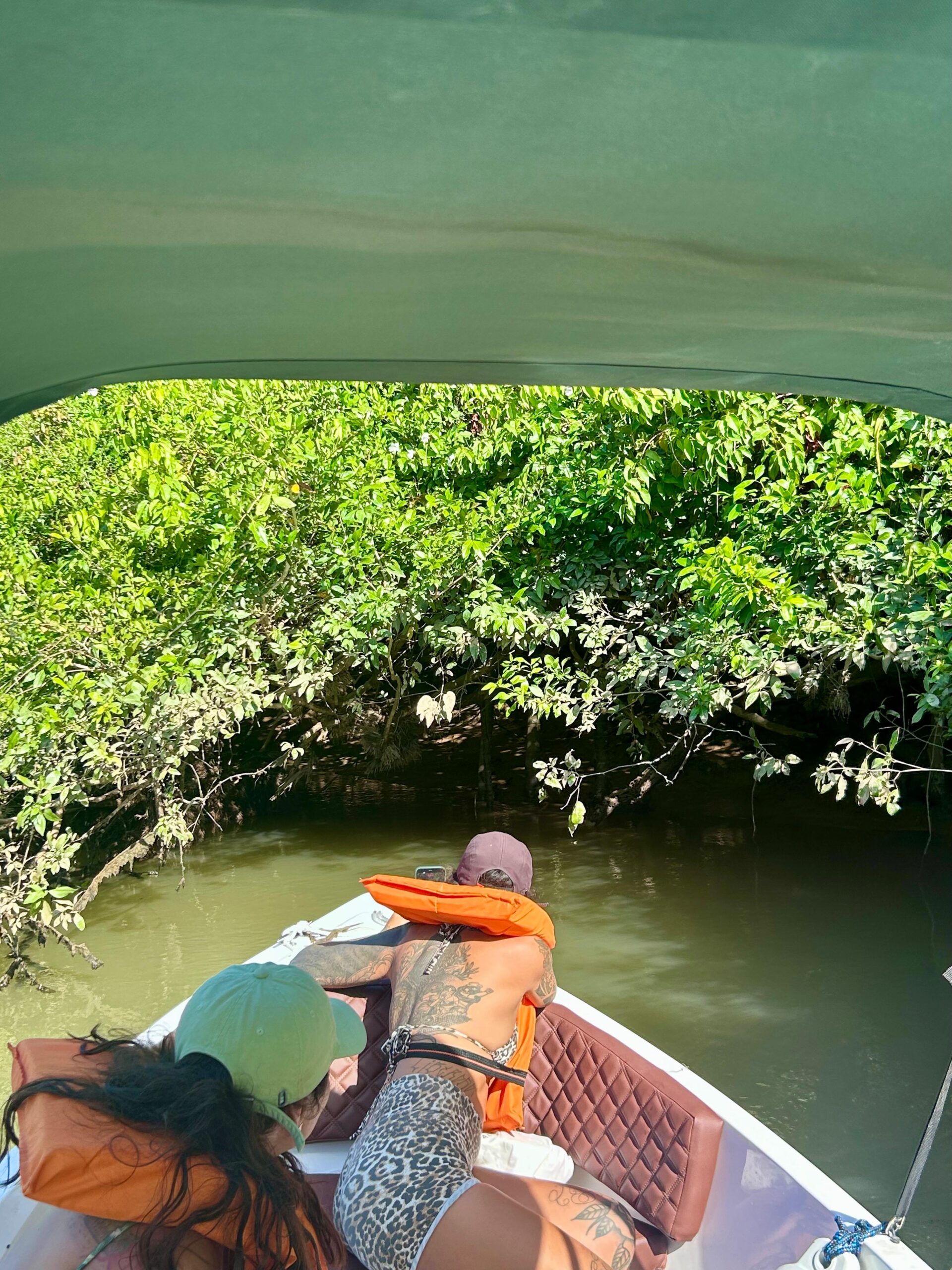 A lenda da Pena Vermelha do Delta do Parnaíba - Passeio ao Delta Turistas visitam o delta do parnaiba e encontram pena vermleha dos guaras