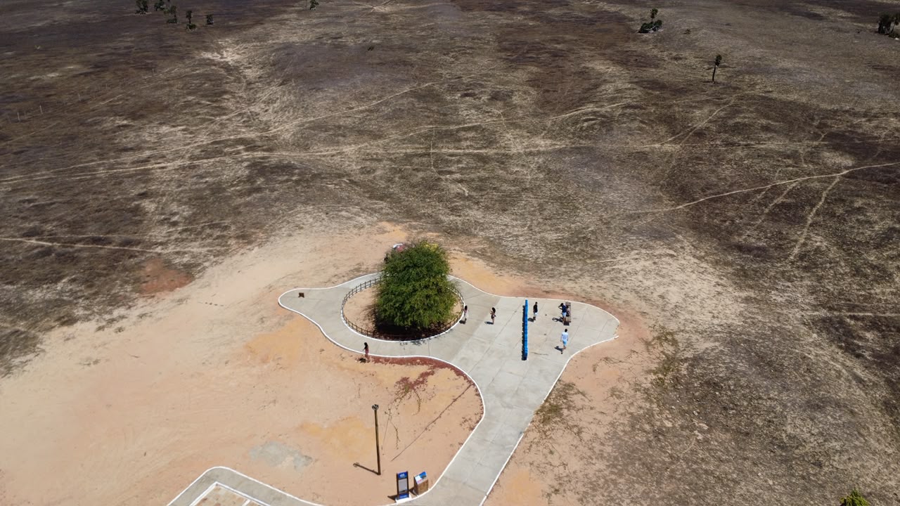 Passeio de Moto pelo Litoral do Piauí: conheça as praias mais bonitas da região - Passeio ao Delta Árvore Penteada